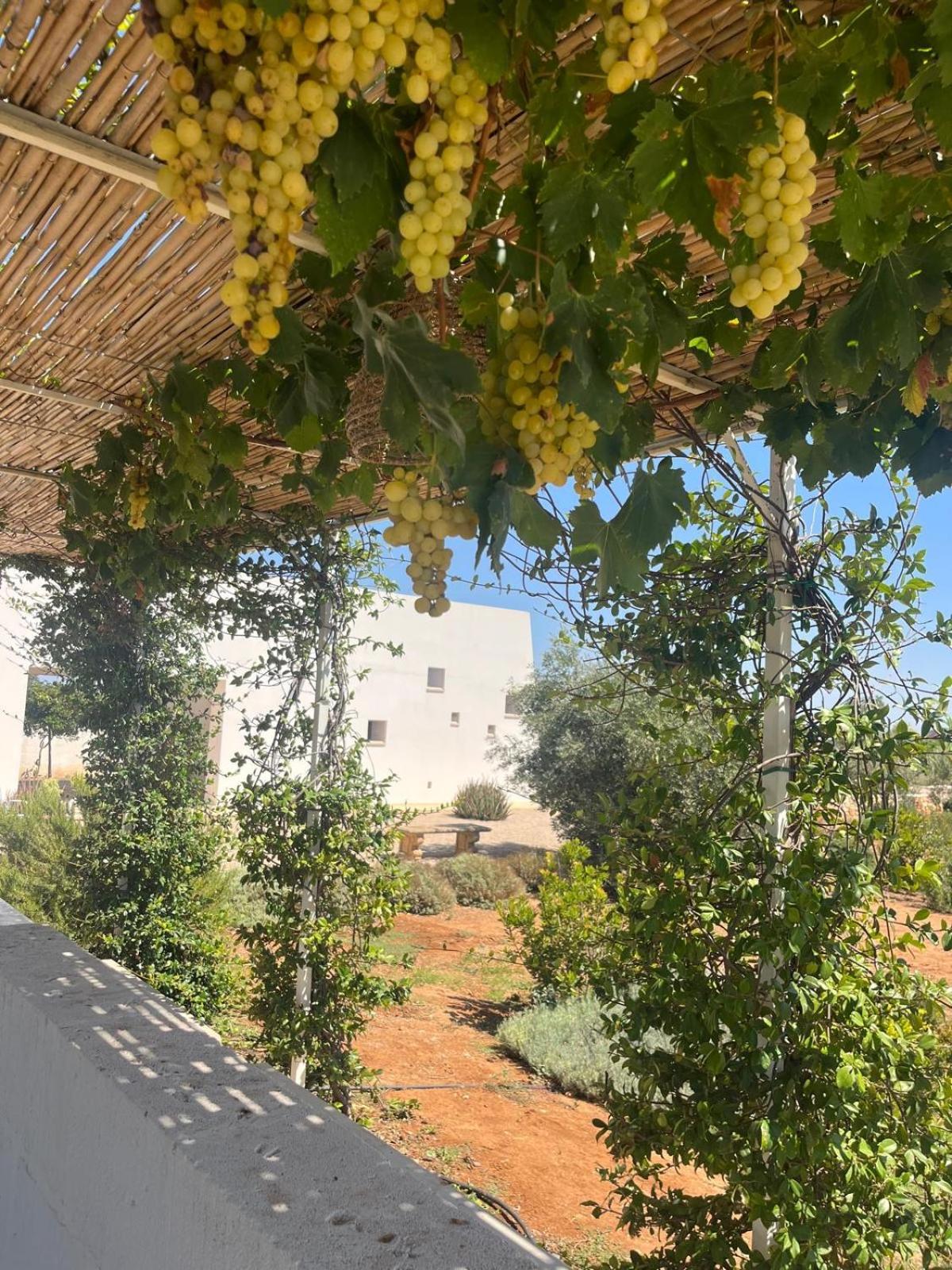 סנטה קתרינה Villa Casa Bianca Di Porto Selvaggio מראה חיצוני תמונה